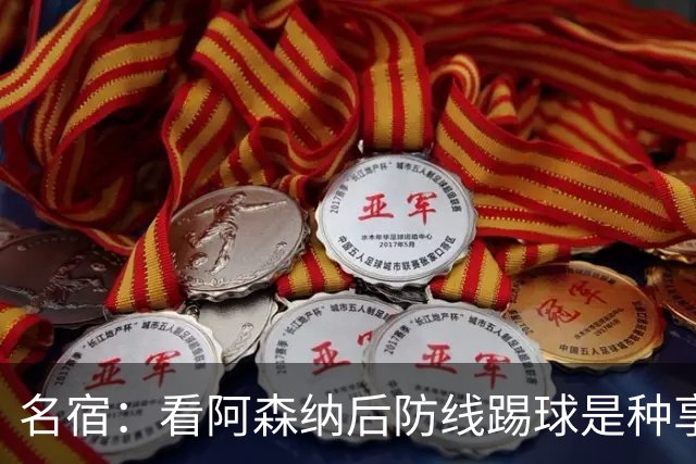 名宿：看阿森纳后防线踢球是种享受